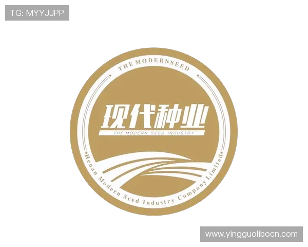 伟德官网加强数据安全措施，保障用户信息与资金安全